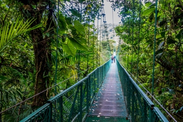 Suspension bridges over the treetops in Costa Rica
