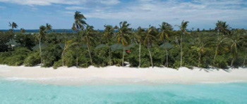Maldives Beach AAPI CME Tour