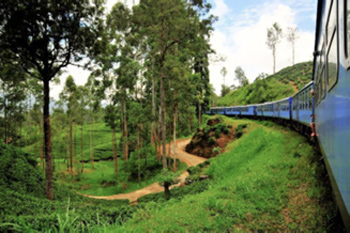 Sri Lankan Train Journey AAPI CME Tour