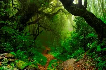 Amazon Lodge3
