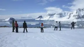 Antarctica – Whale 1