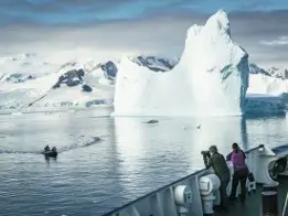 Antarctica – Whale 5